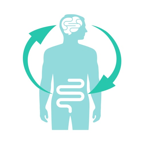 illustration of the gut-brain connection as it relates to health