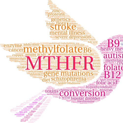 mthfr gene mutation word collage depicting enzymes, amino acids, impcted health outcomes