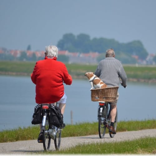 senior adults riding their bikes on a trail by a lake
