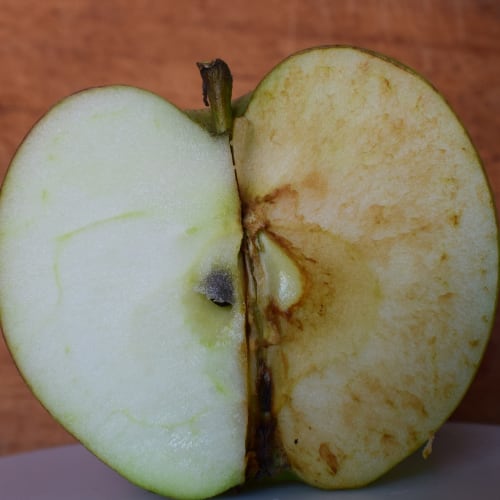 a green apple depicting enzymatic browning much like oxidation occurs in the human body cells