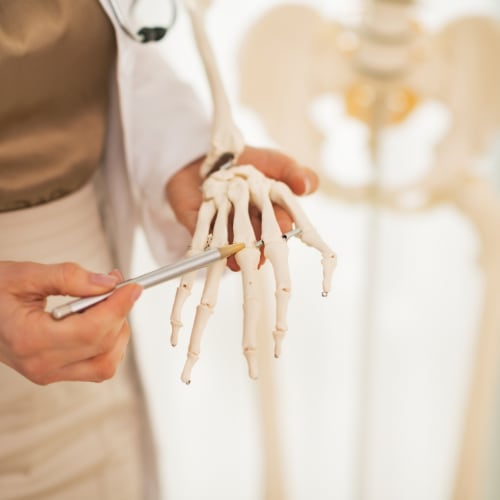 physician illustrating the bones in the hand