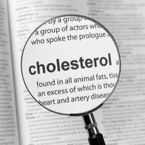 magnifying reading glass focuessed in on the word cholesterol