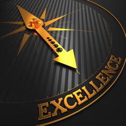 excellence is a standard to be desired