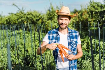 farmer holding organic carrots in field