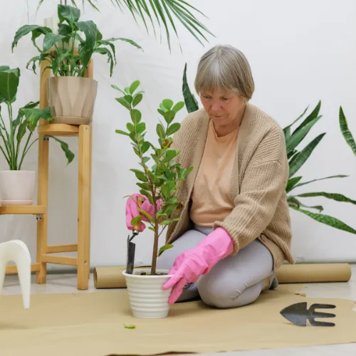 A person in a thoughtfully designed environment with natural light, plants, and minimal distractions, reflecting the influence of surroundings on emotional wellbeing.