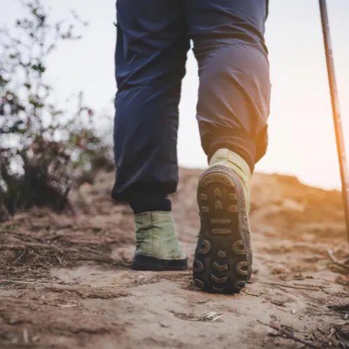 A person walking through different stages of life represented by changing seasons along a path, reflecting the ongoing evolution of mental and emotional wellbeing.