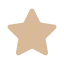 rating star icon