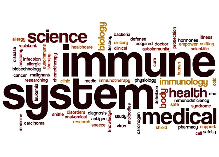 Immune System Word Graphic