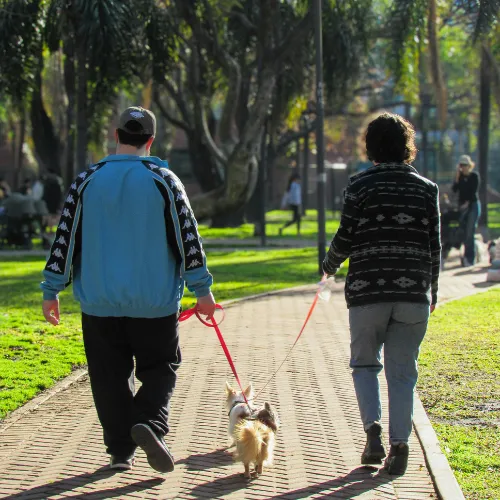 A person taking a casual walk outdoors as part of a daily routine to support steady energy.