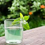 Peppermint Water recipe image