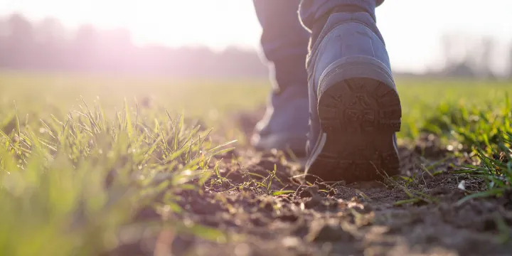 Close-up of tennis shoes walking along a grassy path in sunlight