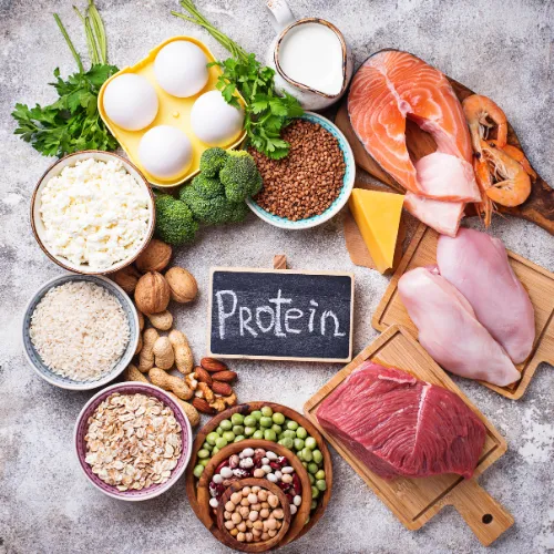 Protein-rich meals and snacks organized across the day to represent consistent protein intake patterns.