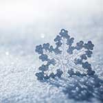 Snowflake on ground covered with snow