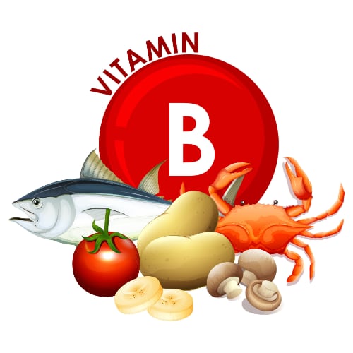 vitamin B illustration showing foods rich in the different types of vitamin B