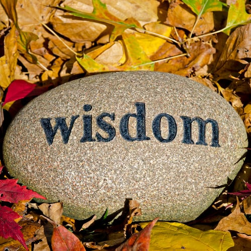 The word 'wisdom' spelled out on a rock laying on top of bed of autumn leaves.